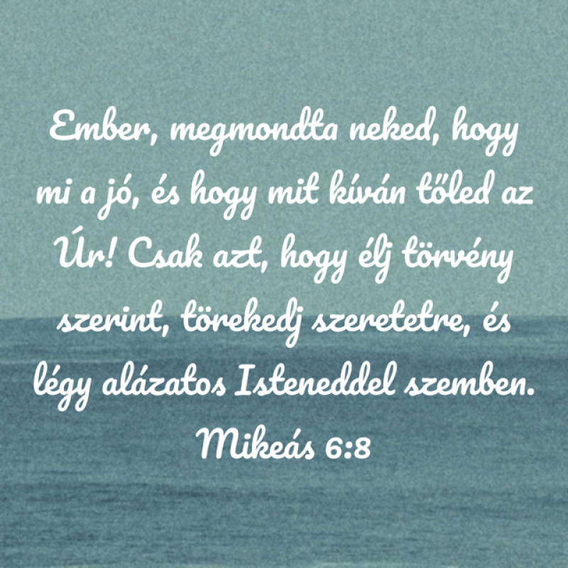 Hetiige09.08.