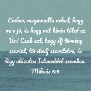 Hetiige09.08.