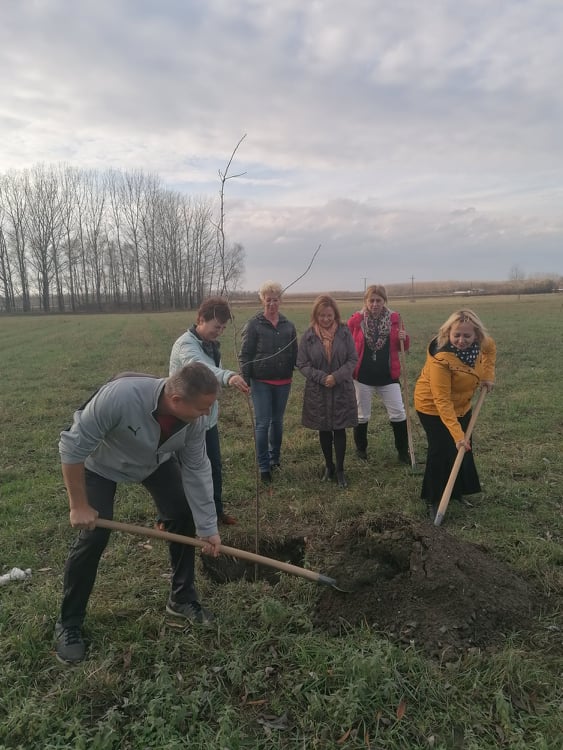 Az 6. osztály, az óvodások és a pedagógusok is fát ültettek.